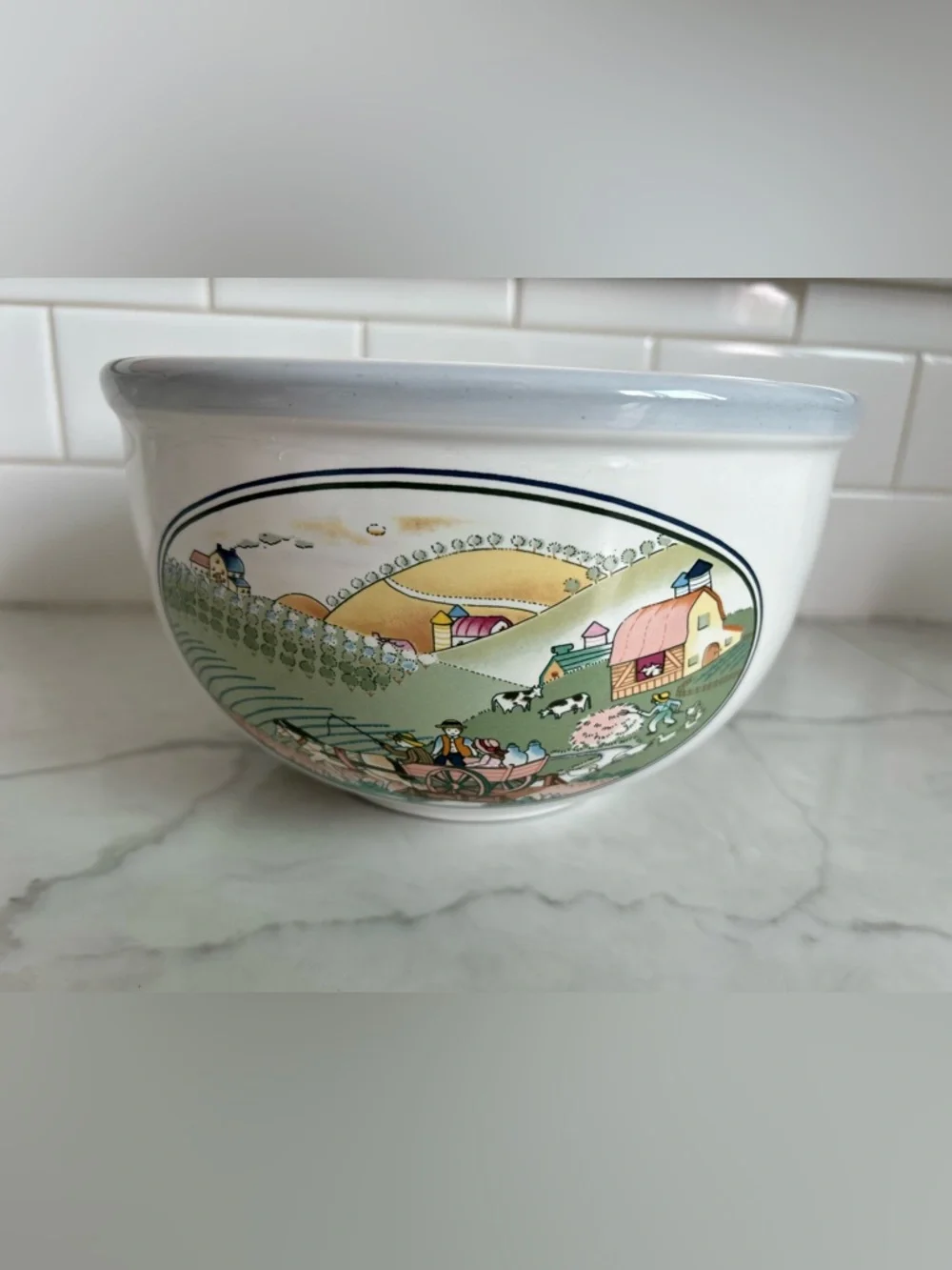 VTG Studio Nova Homecoming Nesting Mixing Bowls Set of 2 Country Farm Stoneware